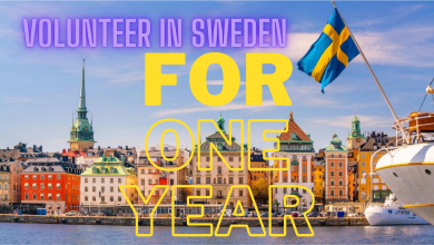 Photo of Volunteer in Sweden fully funded for one year