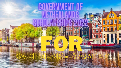 Photo of Government of Netherlands Scholarships 2022