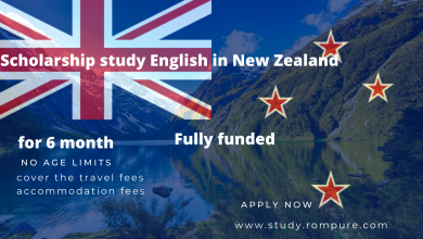 Photo of Scholarship study English in New Zealand
