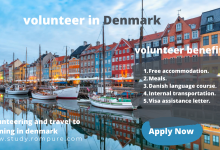 Photo of volunteer in Denmark 2022