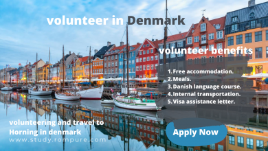 Photo of volunteer in Denmark 2022