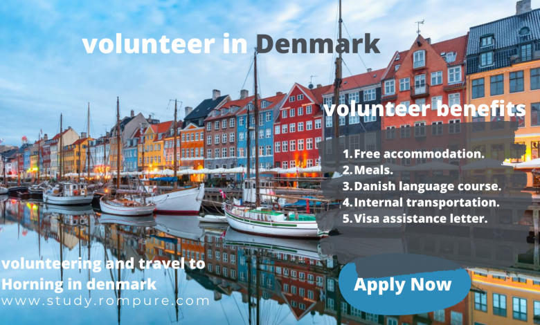 volunteer in Denmark 2022